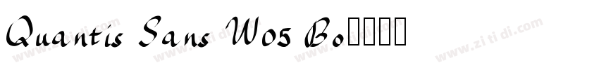 Quantis Sans W05 Bo字体转换